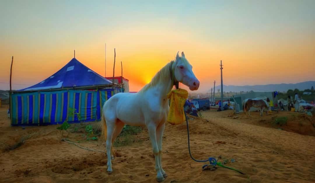 Hotel Galaxy Inn Pushkar Buitenkant foto